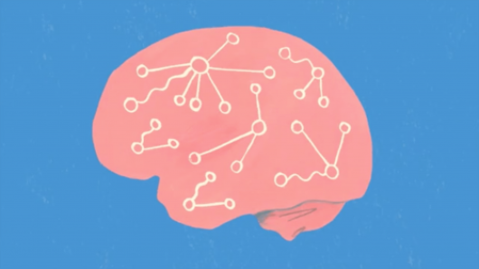 Fundamentals of Neuroscience, Part 3: The Brain | Harvard University