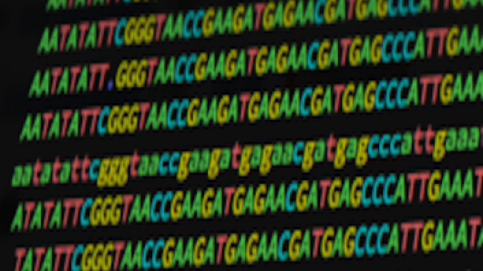 Case Studies in Functional Genomics | Harvard University
