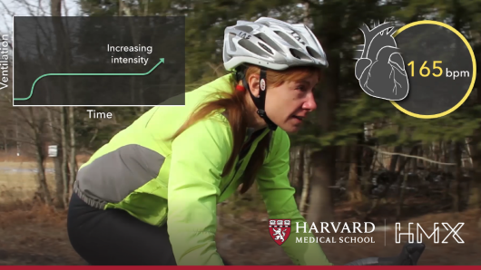 HMX Physiology | Harvard University