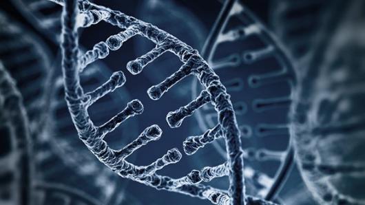 Harvard VPAL CRISPR: Gene-editing Applications | Harvard University
