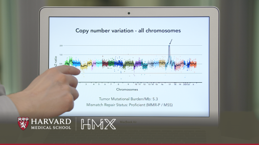 Cancer Genomics and Precision Oncology | Harvard University
