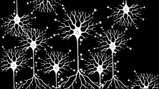 Fundamentals of Neuroscience, Part 2: Neurons and Networks | Harvard University