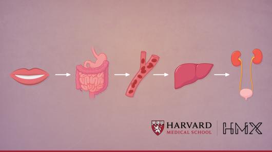 HMX Pharmacology | Harvard University