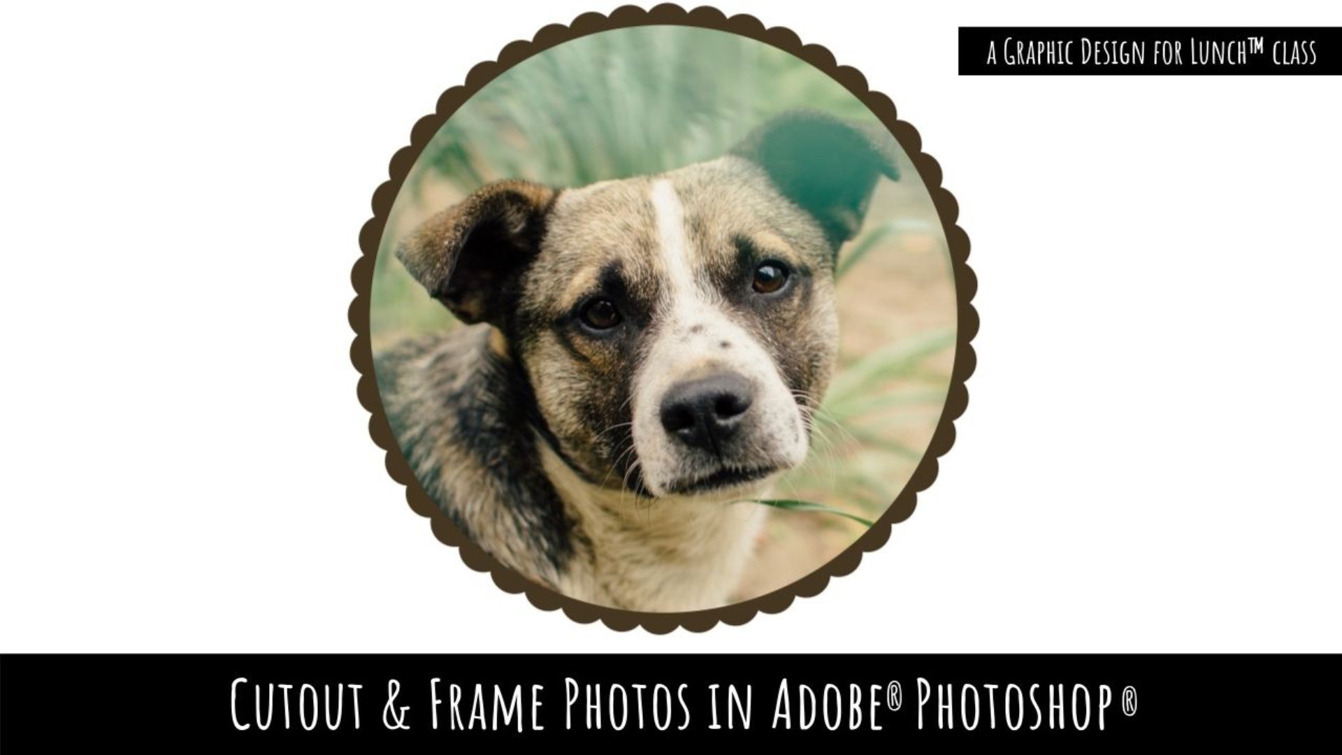 Cutout & Frame Photos in Adobe Photoshop - A Graphic Design for Lunch™ Class