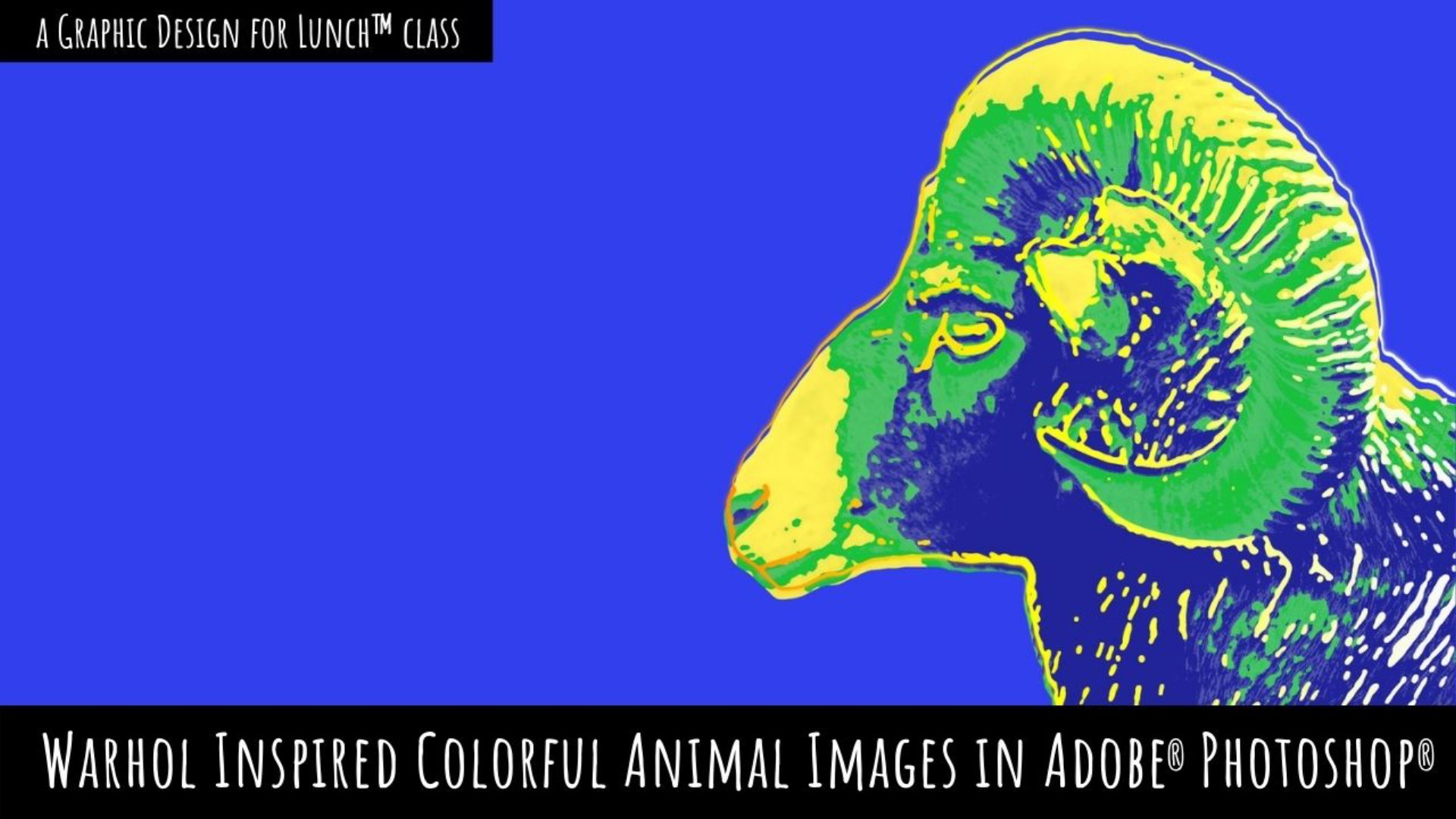 Warhol inspired Colourful Animal Images in Adobe Photoshop - A Graphic Design for Lunch™ Class