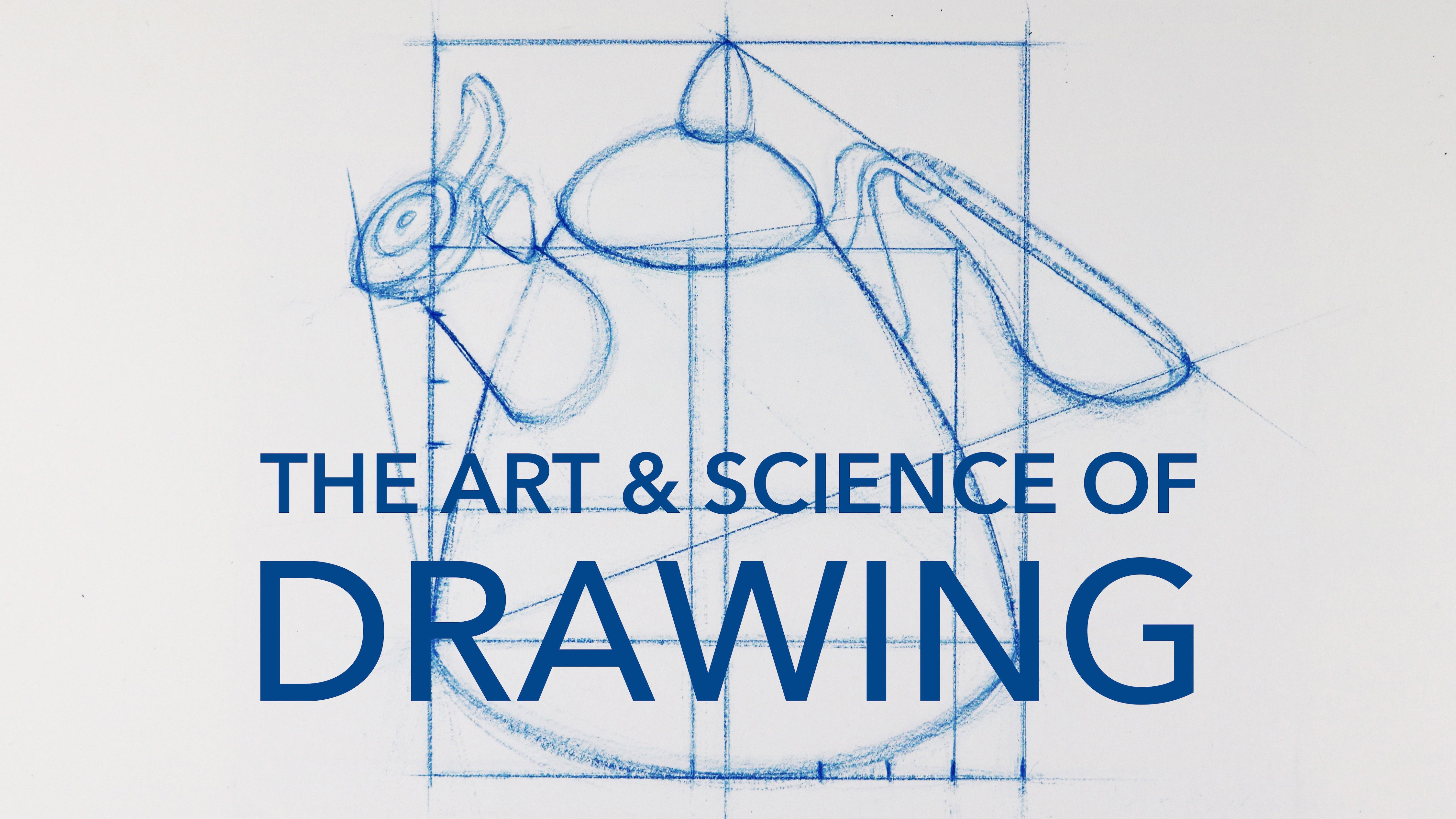 Measuring & Proportion / Drawing with Accuracy & Precision