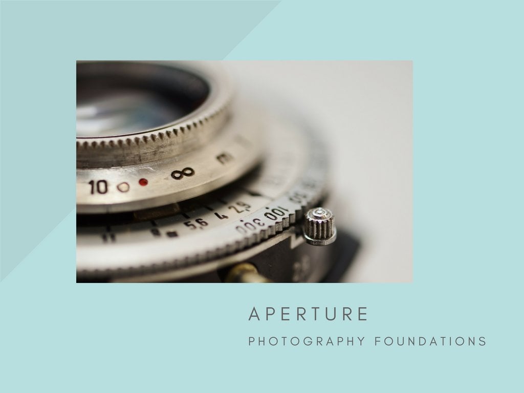 Photography Foundations: Using Aperture to Create Depth of Field