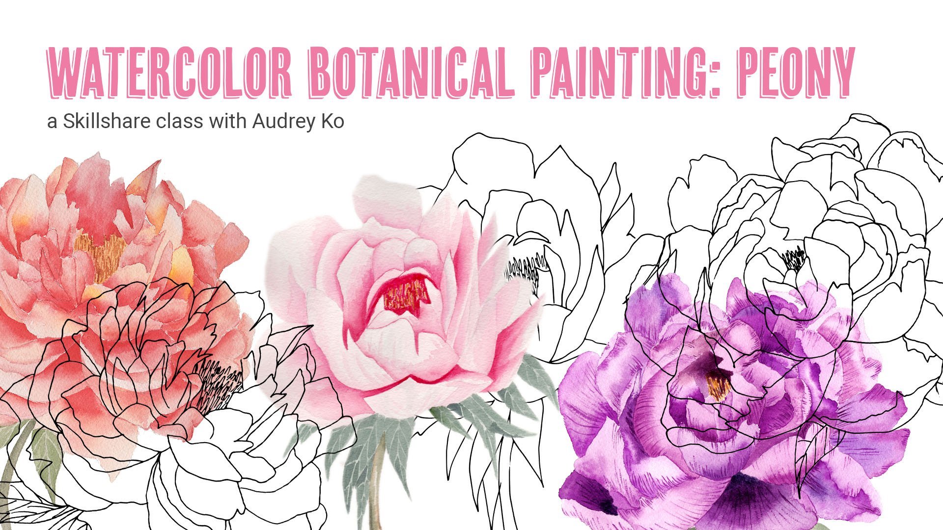 Watercolor Botanical Painting: Peony