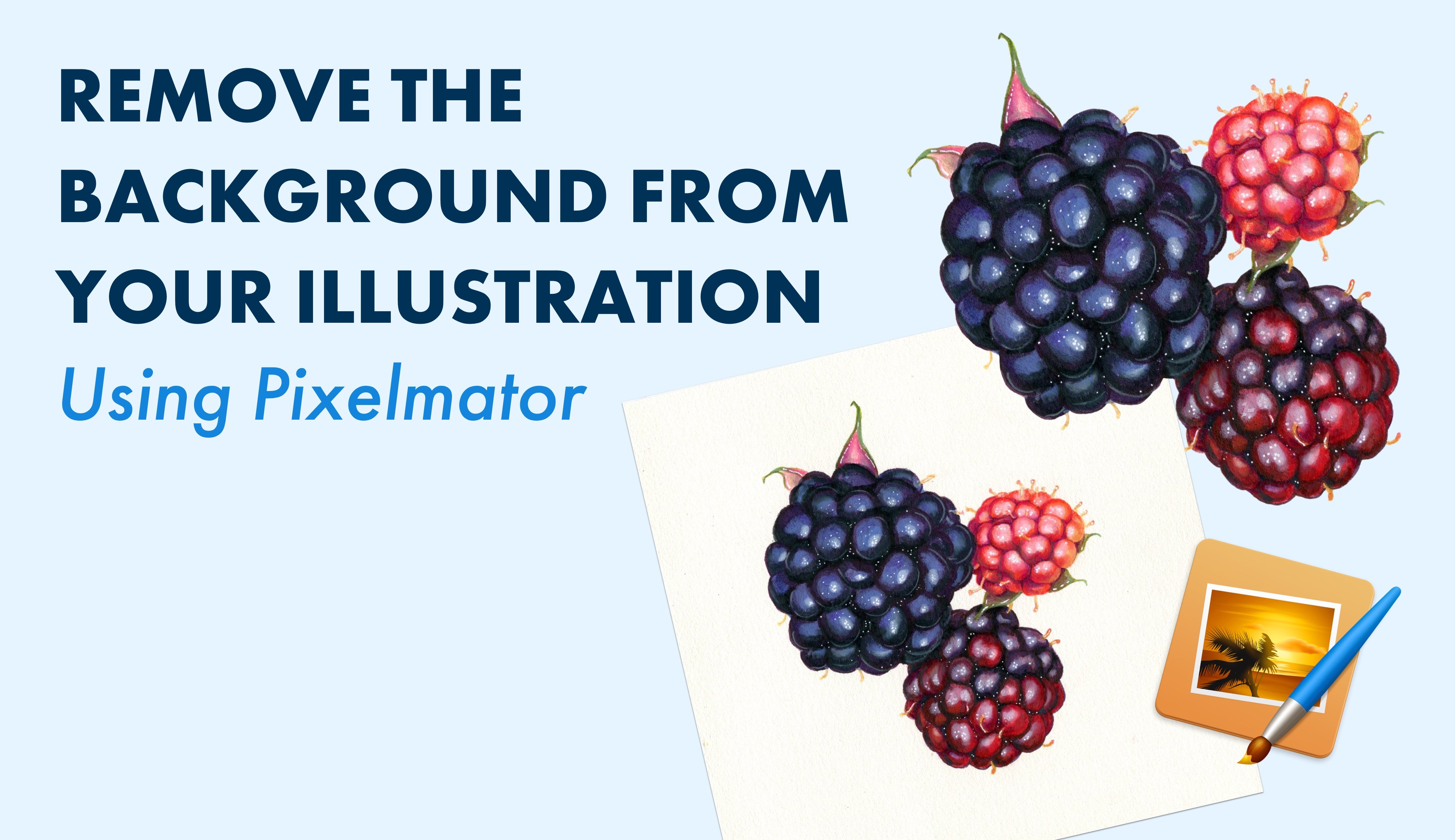 Remove the Background from Any Illustration Using Pixelmator