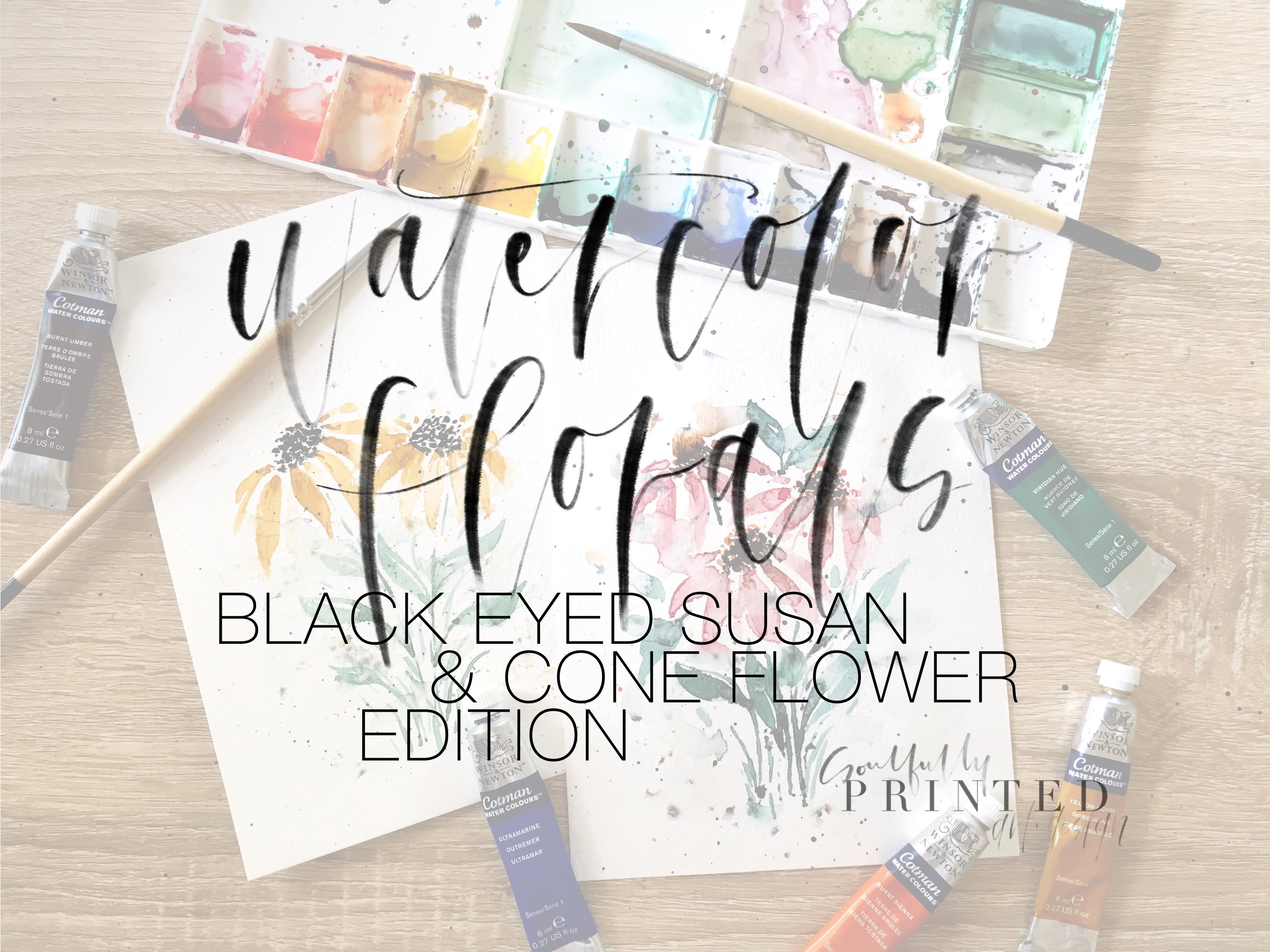 Loose & Expressive Watercolor Florals: Black Eyed Susan & Cone Flower Edition