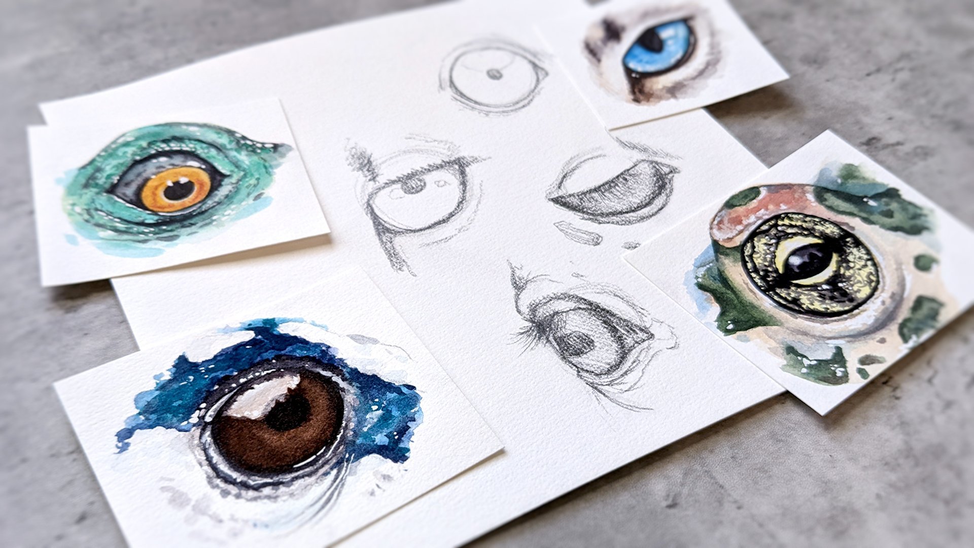 How to Draw & Paint Animal Eyes in Watercolor