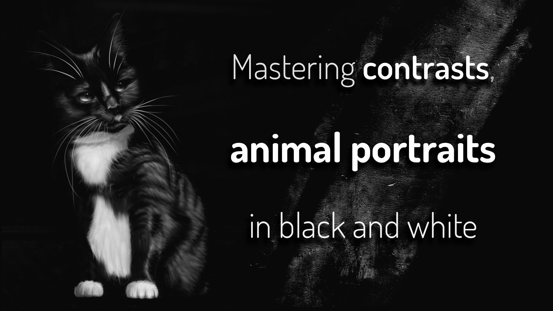 Mastering contrasts, animal portraits in black and white (digital painting)