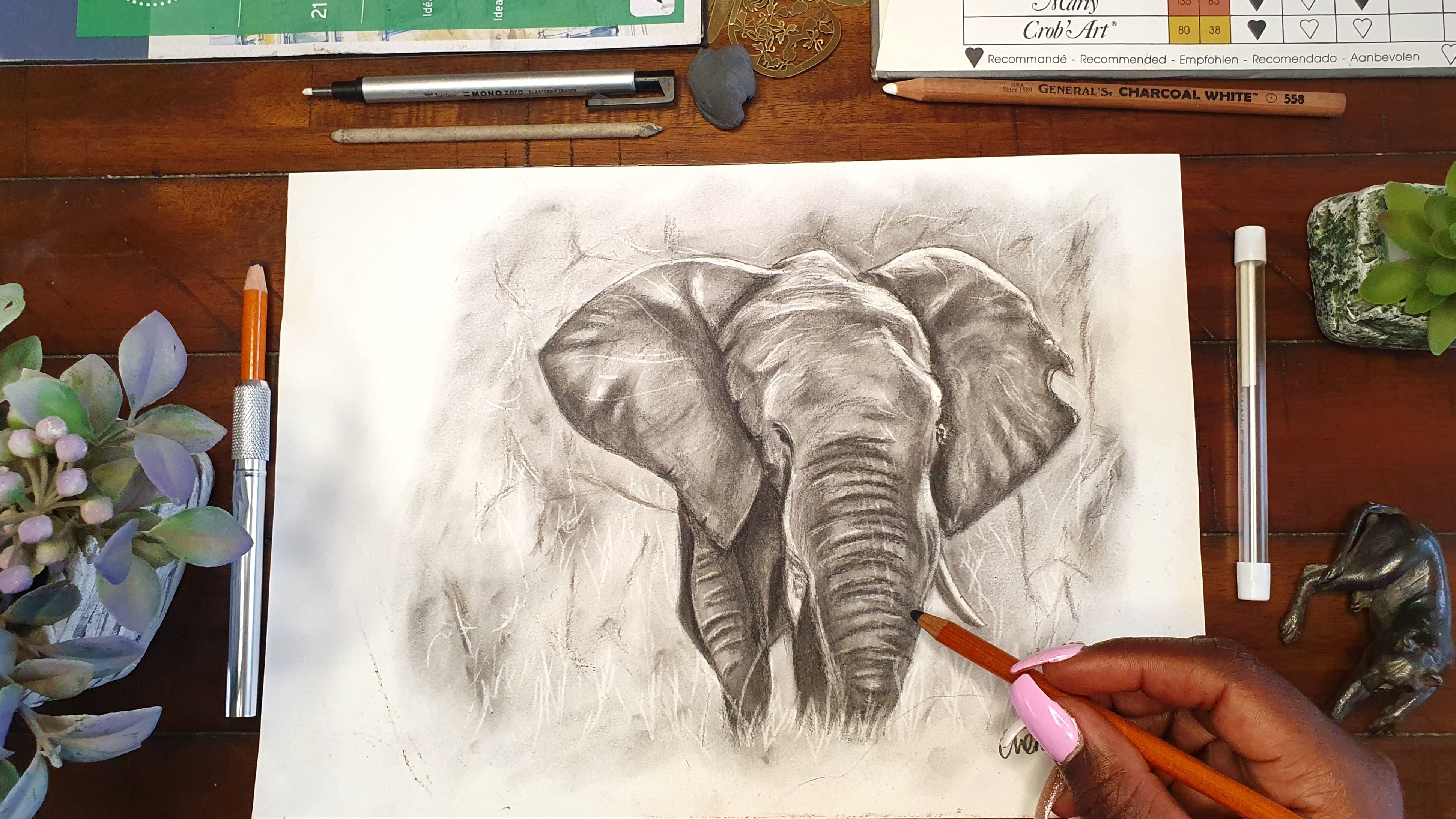 The Charcoal Series: Sketch and Draw an Elephant