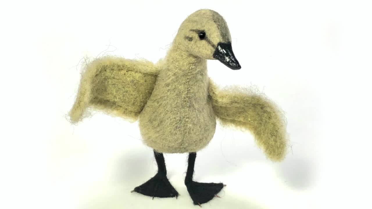 Heirloom Animals: Make way for ducklings!