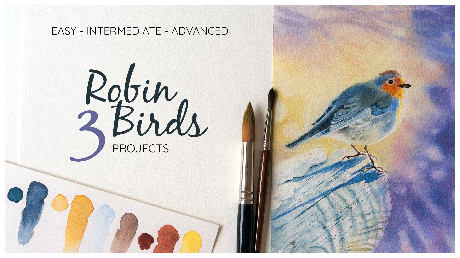 Mastering Watercolor Skills From Easy To Advanced, 3 Robin Birds Projects, The Color Theory