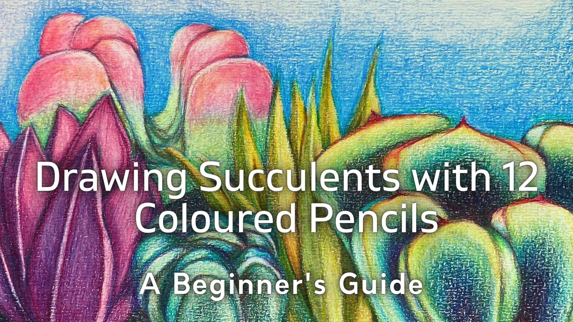 Drawing Succulents with 12 Coloured Pencils: A Beginner's Guide