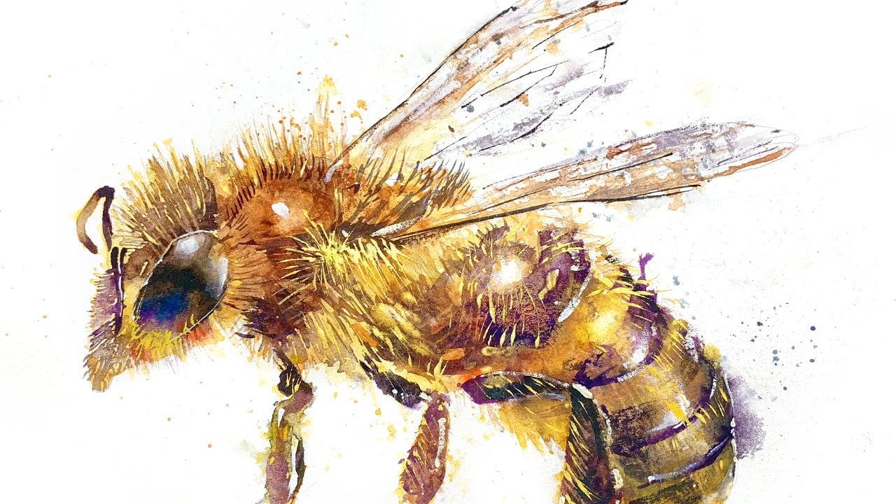 How to Paint a Bee in Watercolor: Fun, Easy Step-by-Step Painting using Expressive, Basic Techniques