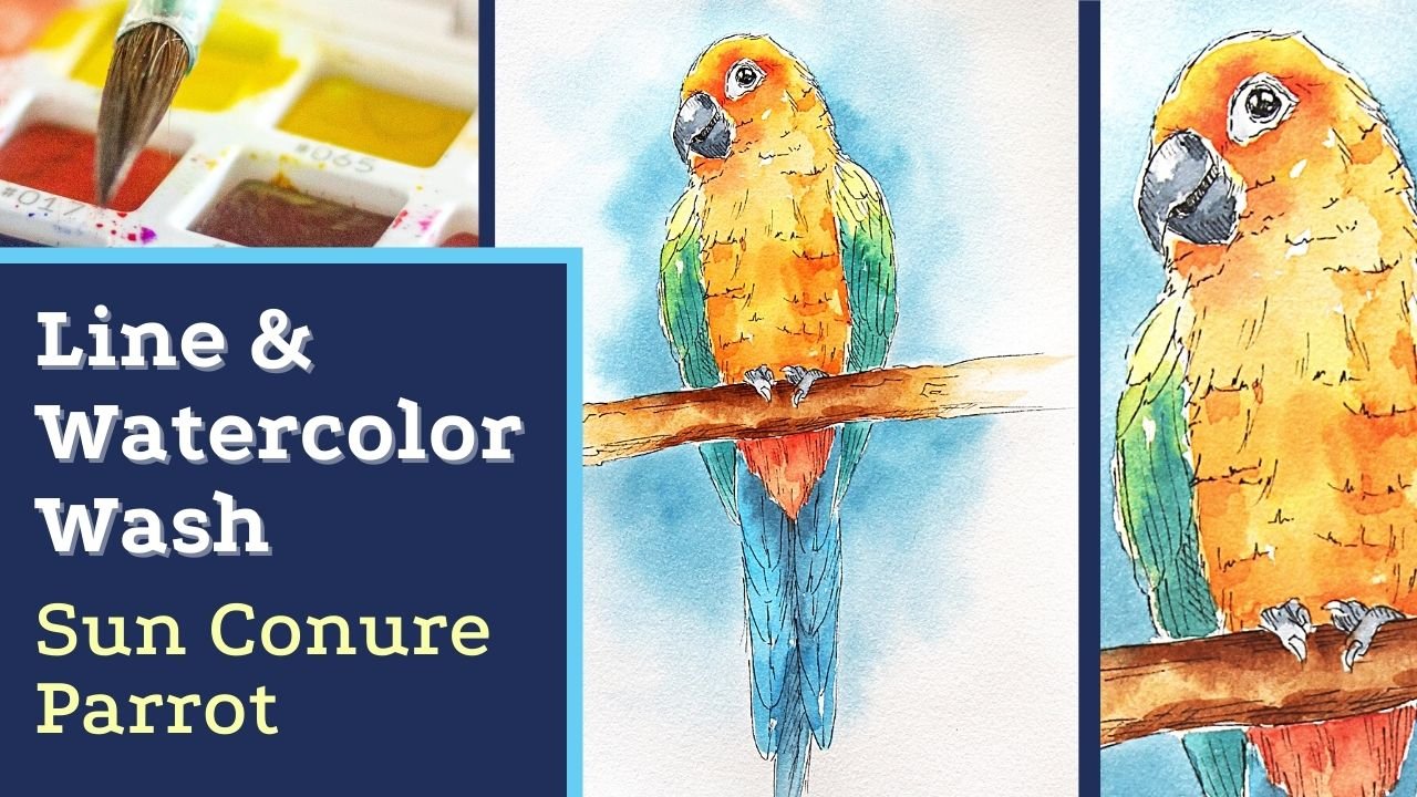 Line and Watercolor Wash Sun Conure Parrot